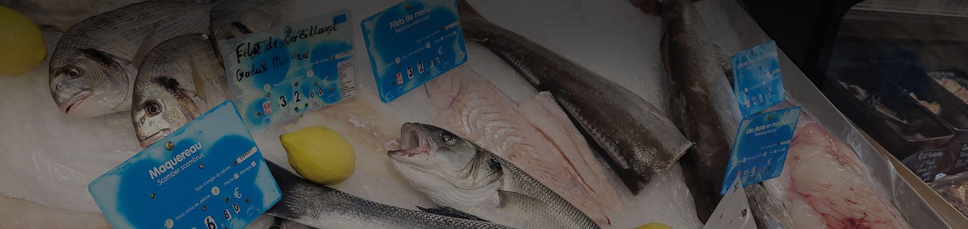 Poissonnerie Marché Saint-Pierre Clermont-Ferrand