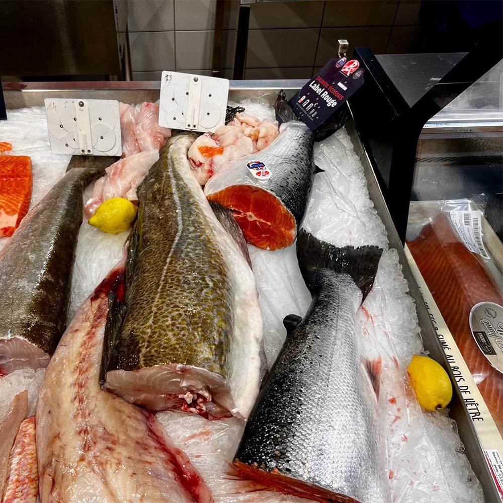 Poissonnerie Marché Saint-Pierre Clermont-Ferrand Poissonnerie Marché Saint-Pierre Clermont-Ferrand